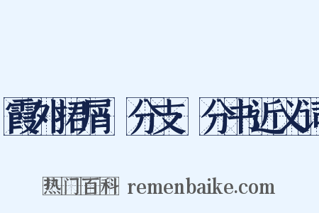 霞外捃屑·分支·分书近义词是什么意思的图片